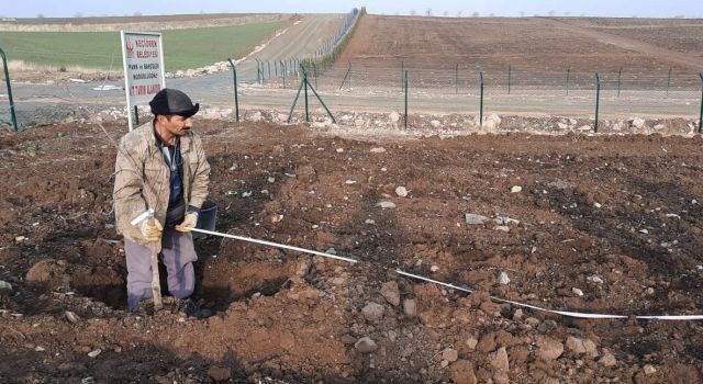 Ankara Keçiören'de 17 dönümlük meyve bahçesi kuruluyor