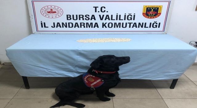 Bursa Orhangazi'de uyuşturucu operasyonu