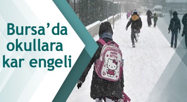 Bursa'da okullara kar engeli