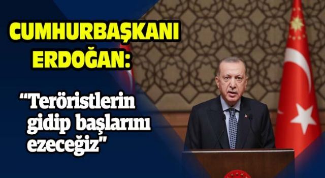 Erdoğan: "Teröristlerin gidip başlarını ezeceğiz"