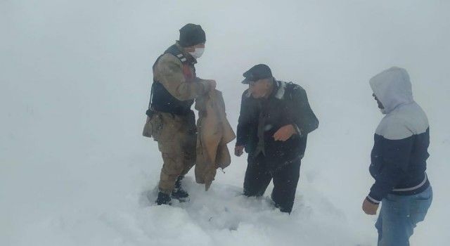 Erzincan İliç'te donma tehlikesi Geçiren vatandaşı Jandarma kurtardı