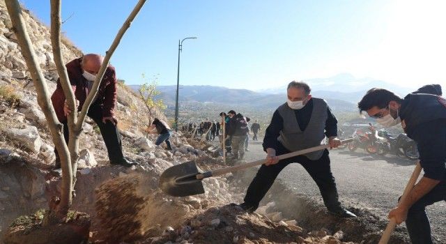 Kayseri Talas&#039;ta yeşil seferberlik sürüyor