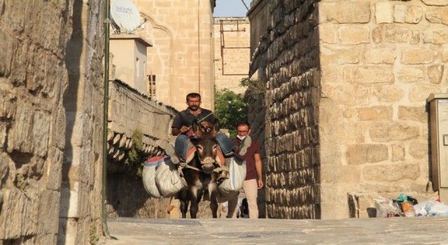 Mardin&#039;in yükünü eşekler çekiyor (Özel Haber)