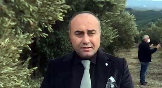 Marmarabirlik Mudanya&#039;da &#039;don yanığı&#039; tespitinde