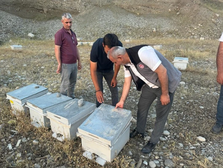 &quot;Siirt Arıcılığını Geliştirme Projesi&quot; Kapsamında Arılı Kovan Dağıtımı Tamamlandı