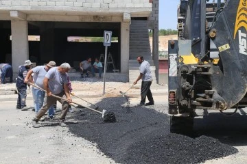 Siirt Belediyesi Yolları Yeniliyor: Asfaltlama ve Bakım Çalışmaları Devam Ediyor