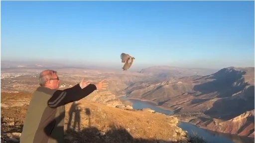 Siirt’te Yasa Dışı Avcılıkla Mücadele: Keklikler Yeniden Doğada